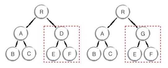 image from dependency